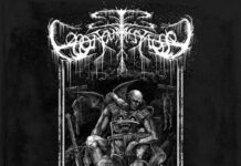 Bonjour Tristesse – Disaster Triumphant
